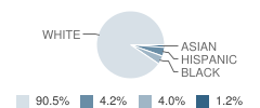 Francis A. Higgins Elementary School Student Race Distribution