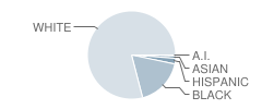 L'anse Creuse Middle School South Student Race Distribution