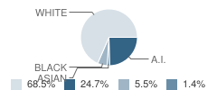 Mackinac Island School Student Race Distribution