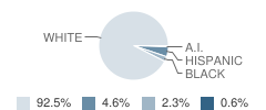 Carpenter School Student Race Distribution