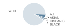 H.h. Dow High School Student Race Distribution