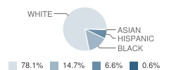 Hollywood Elementary School Student Race Distribution