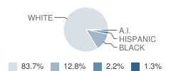 Moore Elementary School Student Race Distribution