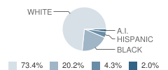 Pinehurst Elementary School Student Race Distribution