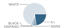 Mary Mcguire School Student Race Distribution