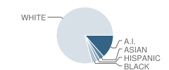 West Intermediate School Student Race Distribution
