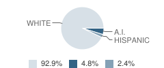 Rosebush School Student Race Distribution