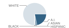 Munising High and Middle School Student Race Distribution