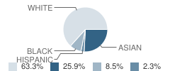 Novi Meadows School Student Race Distribution