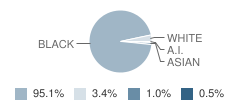 Pepper Elementary School Student Race Distribution