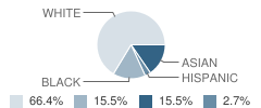 Central Elementary School Student Race Distribution