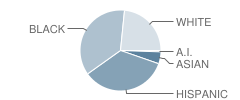 Whitman Elementary School Student Race Distribution