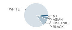 H.d. Crull Elementary School Student Race Distribution