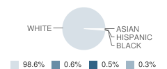 Portland High School Student Race Distribution