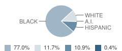 River Rouge High School Student Race Distribution