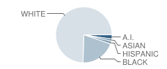 Roseville Junior High School Student Race Distribution