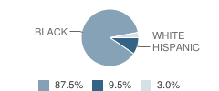 Houghton Elementary School Student Race Distribution