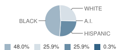 Merrill Park Elementary School Student Race Distribution