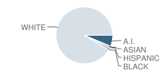 Shepherd Elementary School Student Race Distribution