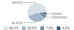 Avalon Elementary School Student Race Distribution