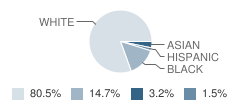 Ann L. Dolsen Elementary School Student Race Distribution