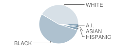 Fisher Elementary School Student Race Distribution