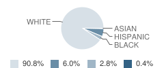 Eugene M. Nikkari Elementary School Student Race Distribution