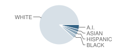 Traverse City High School Student Race Distribution