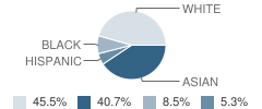 Morse Elementary School Student Race Distribution