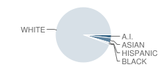Morgan Elementary School Student Race Distribution