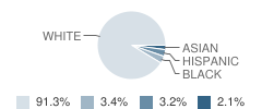 Roberts Elementary School Student Race Distribution