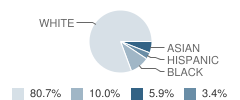 Graebner Elementary School Student Race Distribution