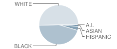 North Middle School Student Race Distribution