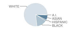 Carleton Middle School Student Race Distribution