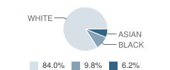 Holden Elementary School Student Race Distribution