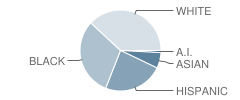 Winans Elementary School Student Race Distribution