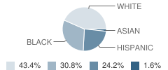 Windemere View Elementary School Student Race Distribution