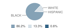 Hamady Middle School Student Race Distribution