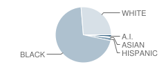 Westwood Elementary School Student Race Distribution