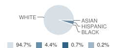 White Pigeon High School (Junior / Senior) Student Race Distribution