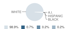 Whitmore Lake Elementary School Student Race Distribution