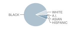 Cheney Academy Student Race Distribution