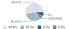 270 Hopkins Alternative Program - off Campus School Student Race Distribution