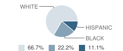 Focus-Hosterman School Student Race Distribution