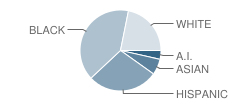 Minneapolis Academy Charter School Student Race Distribution