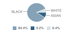 Tarek Ibn Ziyad Academy Student Race Distribution