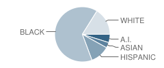 Epsilon School Student Race Distribution