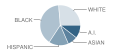 Idt / Keystone Care & Treatment School Student Race Distribution