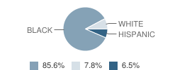 Leadership Academy Student Race Distribution