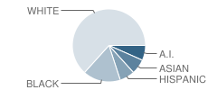 Invest Transition School Student Race Distribution